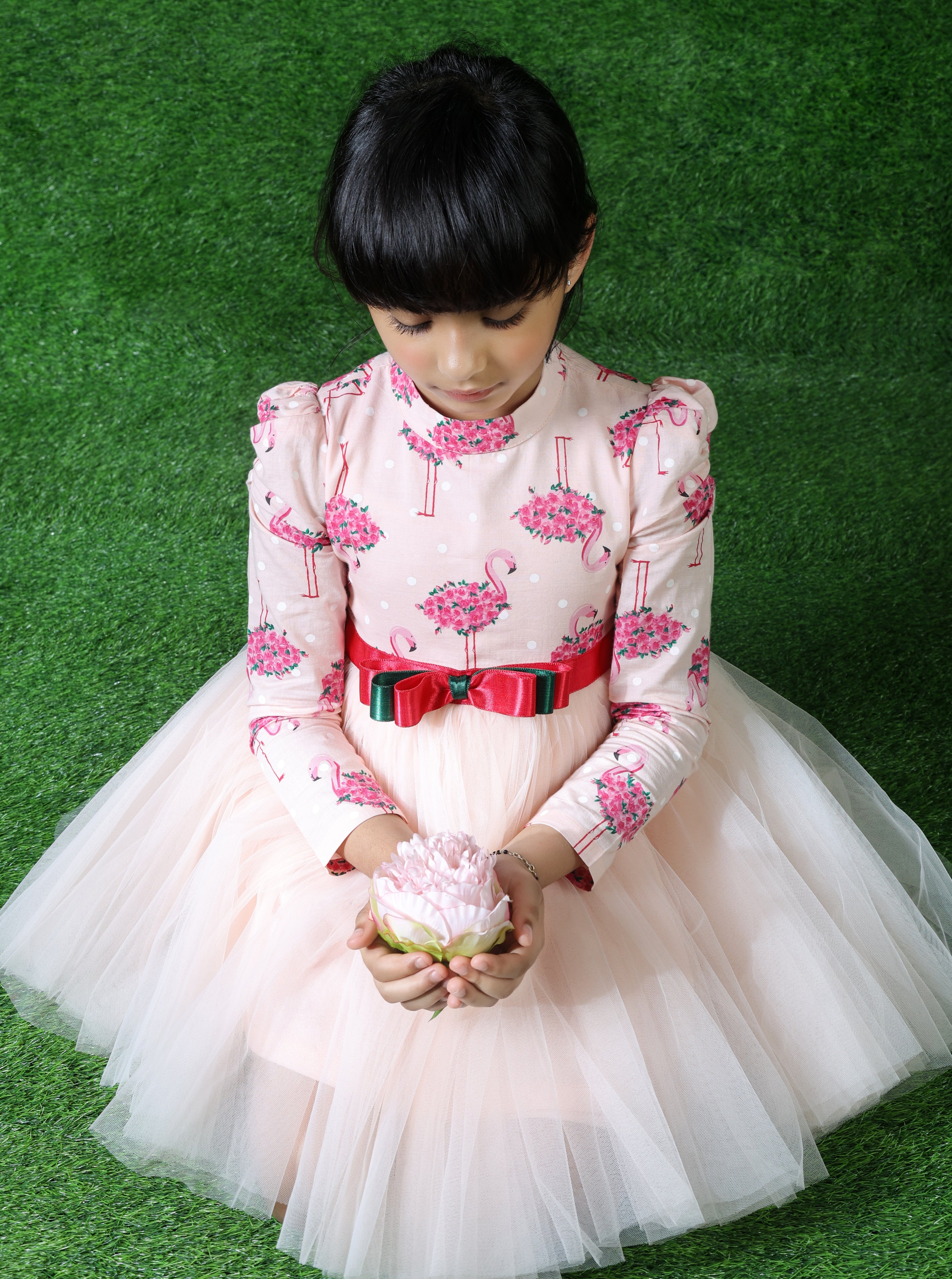 Flamenco - The Pony & Peony Co.