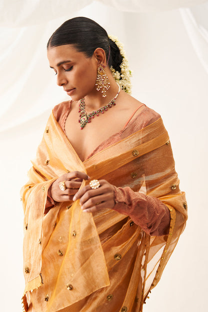 Vritra Saree Set