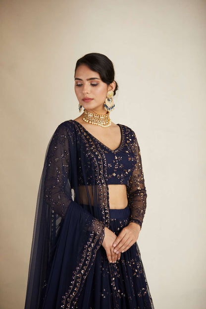 Navy Blue Heavy Double Border Lehenga Set