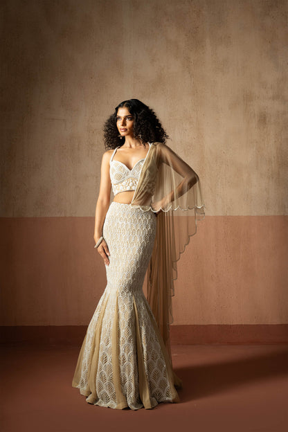 Fishtail Style, Beige & Ivory Hand Embroidered, Net & Georgette Fishtail Saree, Concept Saree