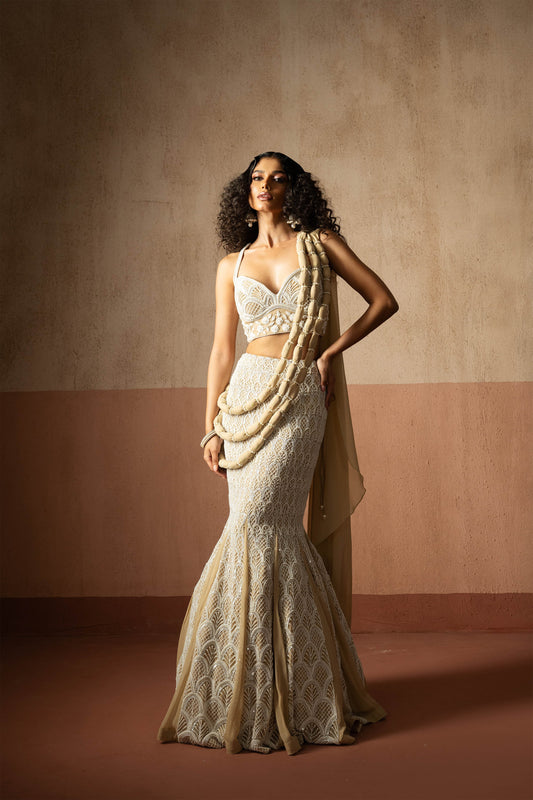 Fishtail Style, Beige & Ivory Hand Embroidered, Net & Georgette Fishtail Saree, Concept Saree