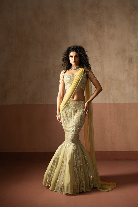 Fishtail Style, Sage Green & Pastel Yellow Hand Embroidered, Net & Georgette Fishtail Saree, Concept Saree