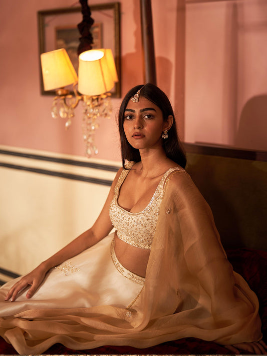 Pearl Gold Silk Organza Lehenga Set