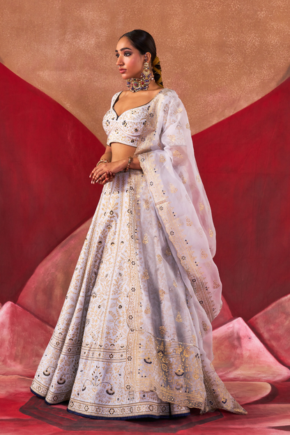Mridula Lehenga Set