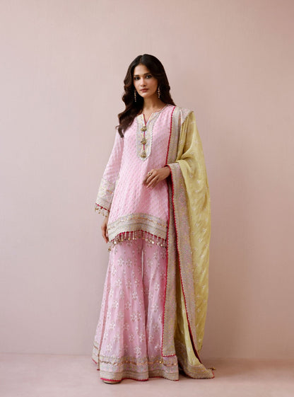 Nori Banarsi Pink Short Kurta with Sharara