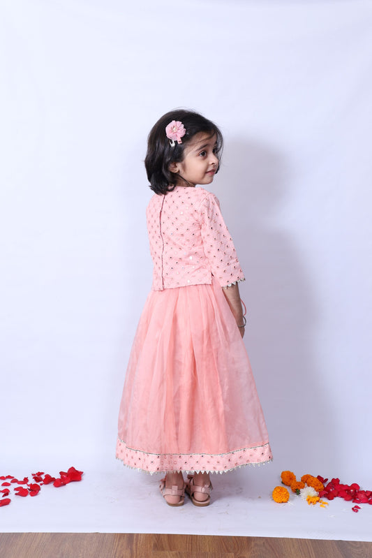 Pink Georgette, Organza, Crepe Mirrors Work Hem Lehenga