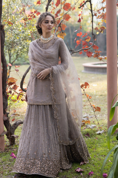 Light Brown Bootie Kurti And Lehenga Set