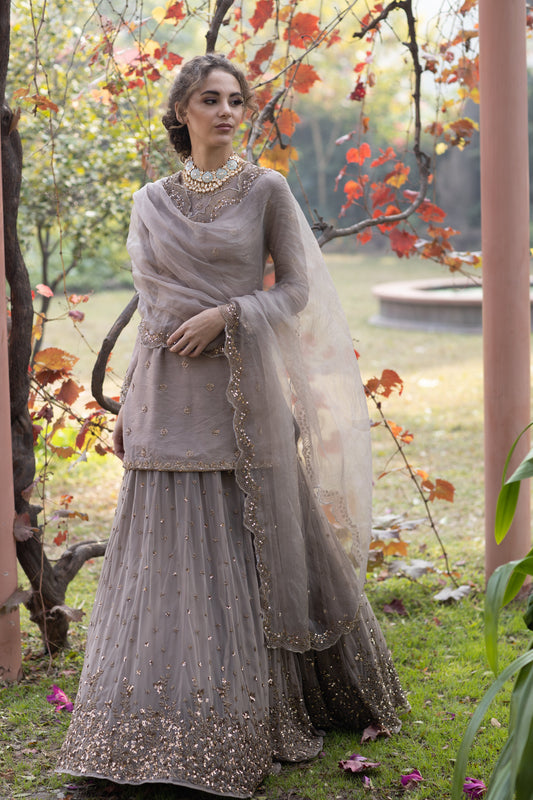 Light Brown Bootie Kurti And Lehenga Set