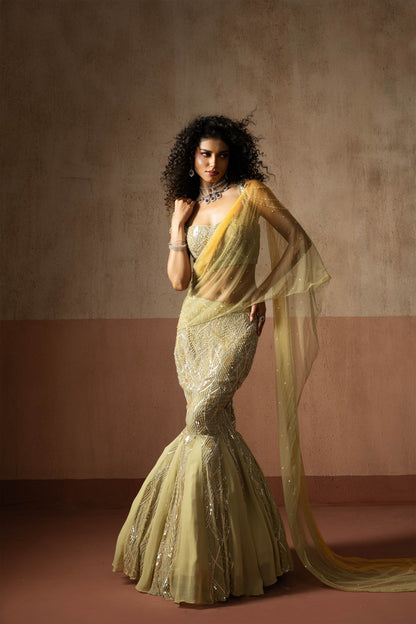 Fishtail Style, Sage Green & Pastel Yellow Hand Embroidered, Net & Georgette Fishtail Saree, Concept Saree