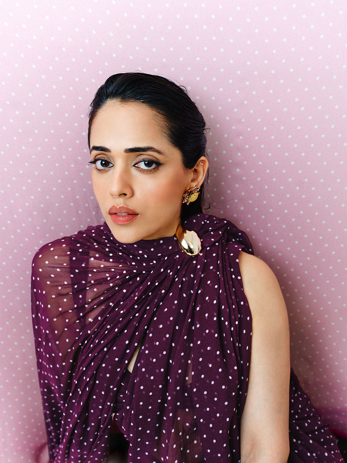 Maroon Movable Brooch Dotted Saree