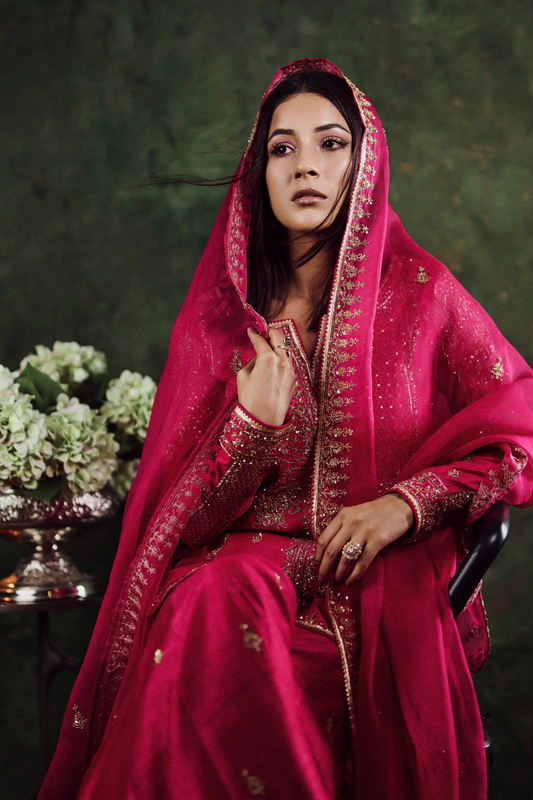Shehnaaz Gill in Aiza Sharara Set