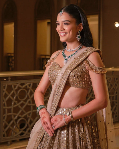 SHIVANI BAFNA In Light Beige Jugmug Mirror  Embroidered Lehenga Set