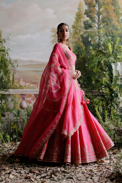 Hadia Lehenga Set