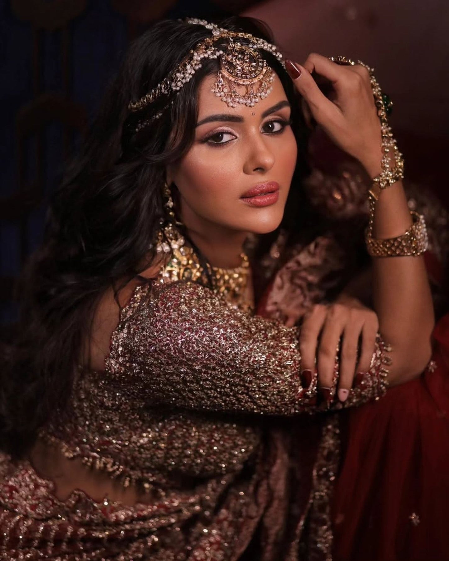 Priyanka Chahar In Maroon Net Embroidered Saree Blouse With Petticoat