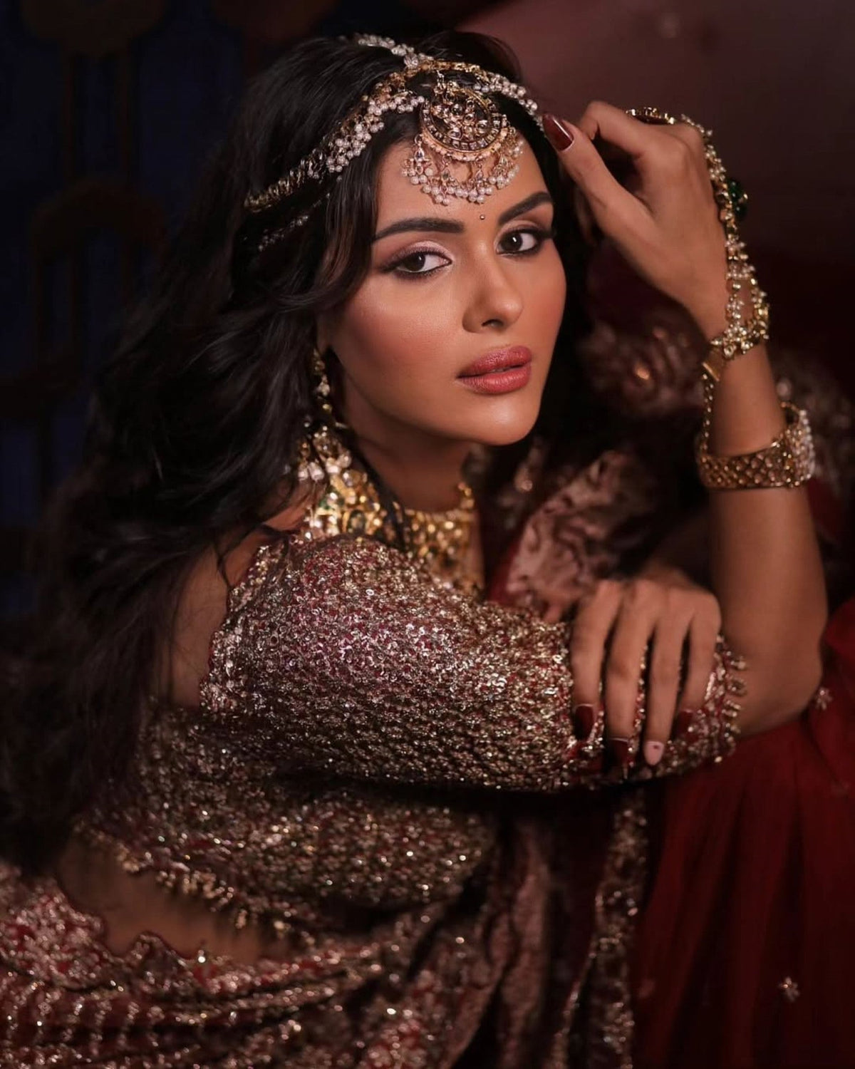 Priyanka Chahar In Maroon Net Embroidered Saree Blouse With Petticoat