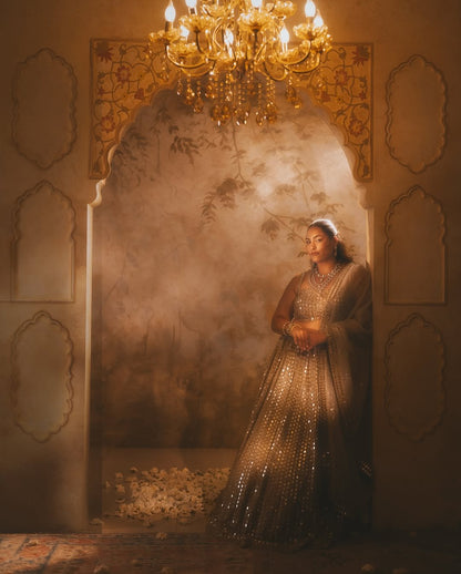 SAKSHI SINDWANI In Light Beige Mirror Lehenga Set