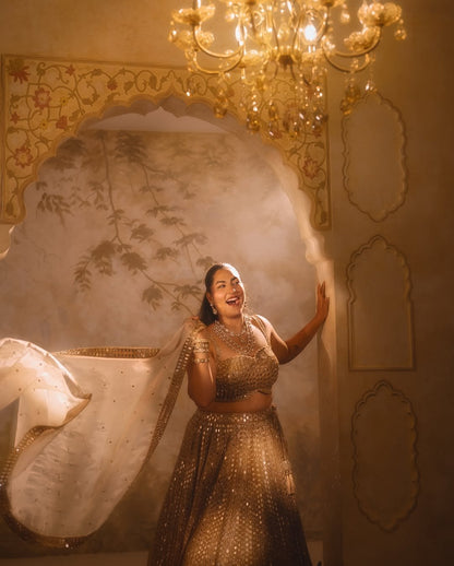SAKSHI SINDWANI In Light Beige Mirror Lehenga Set
