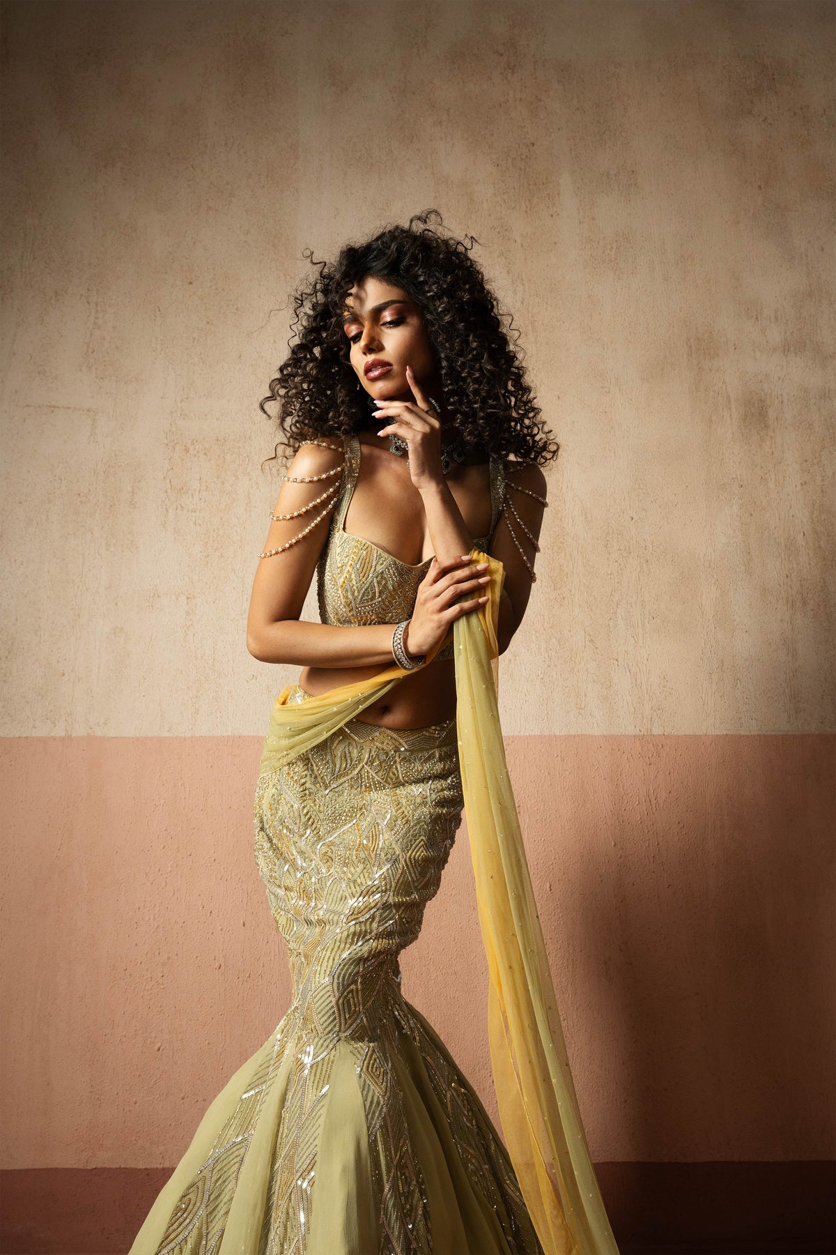 Fishtail Style, Sage Green & Pastel Yellow Hand Embroidered, Net & Georgette Fishtail Saree, Concept Saree