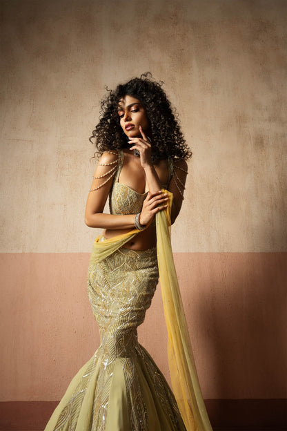 Fishtail Style, Sage Green & Pastel Yellow Hand Embroidered, Net & Georgette Fishtail Saree, Concept Saree