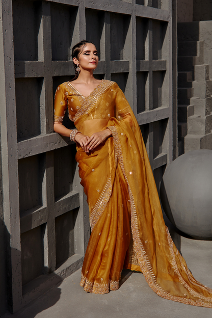 Raveena Tandon in Zara Saree