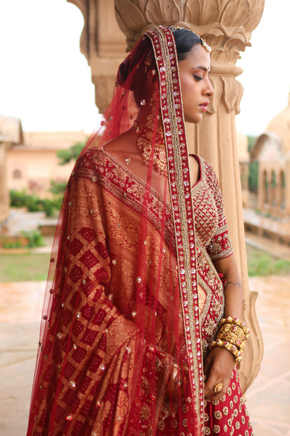 Debati Lehenga Set
