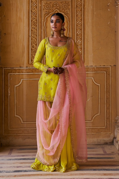 Amisha Sharara Set