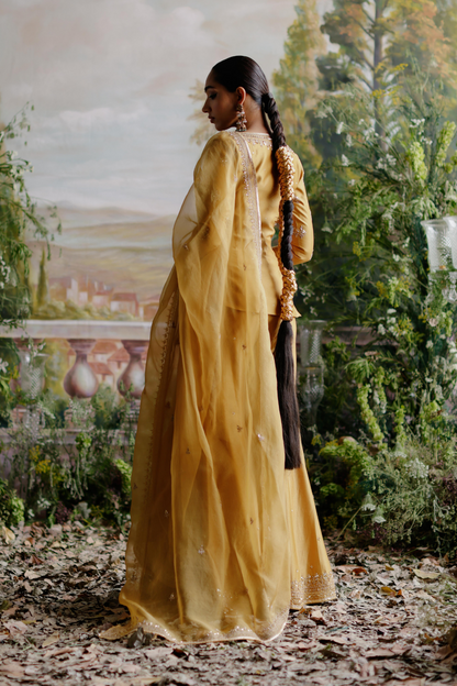 Nazeera Sharara Set