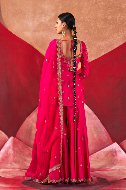 Vijayeeta Sharara Set