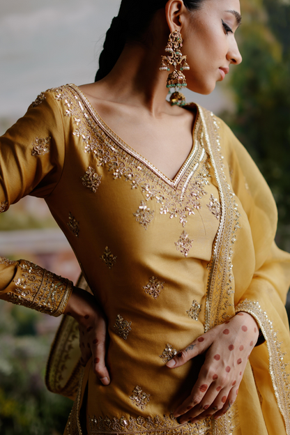 Nazeera Sharara Set