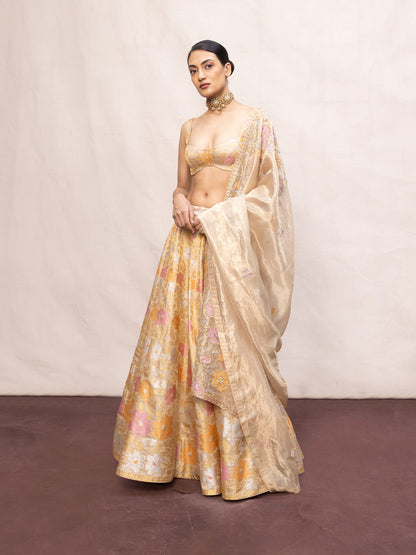 Handwoven Ecru Tissue Lehenga Set