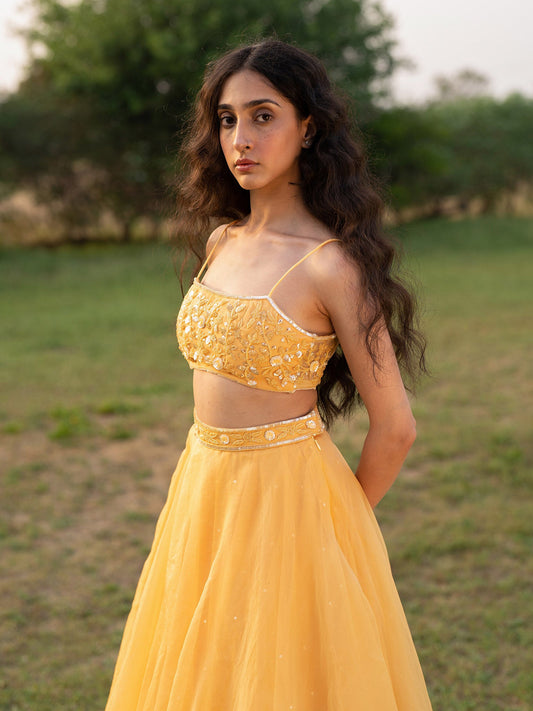 Dahlia Yellow Silk Organza Lehenga Set