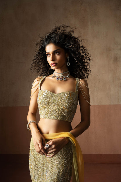 Fishtail Style, Sage Green & Pastel Yellow Hand Embroidered, Net & Georgette Fishtail Saree, Concept Saree