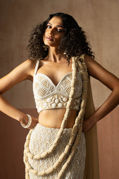 Fishtail Style, Beige & Ivory Hand Embroidered, Net & Georgette Fishtail Saree, Concept Saree