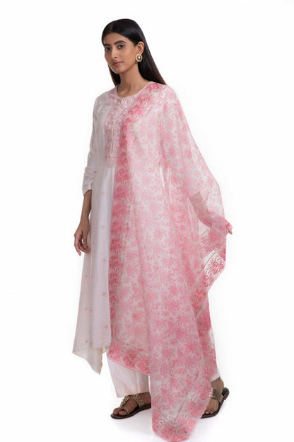 Anaaya Kurta Set Powder Pink