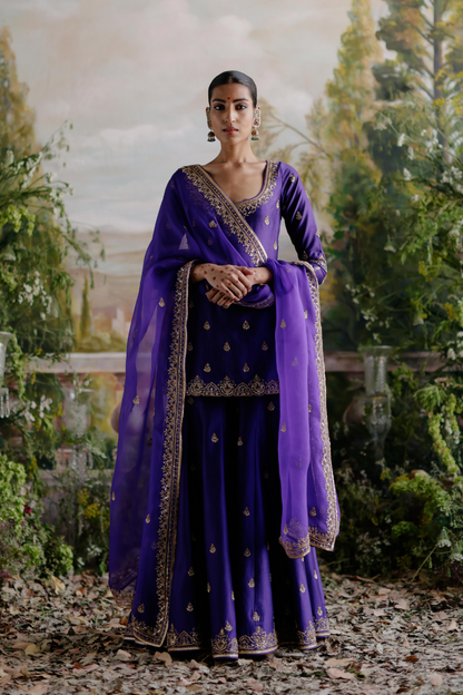 Raashii Khanna in Farzana Sharara Set