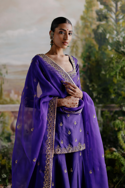 Raashii Khanna in Farzana Sharara Set