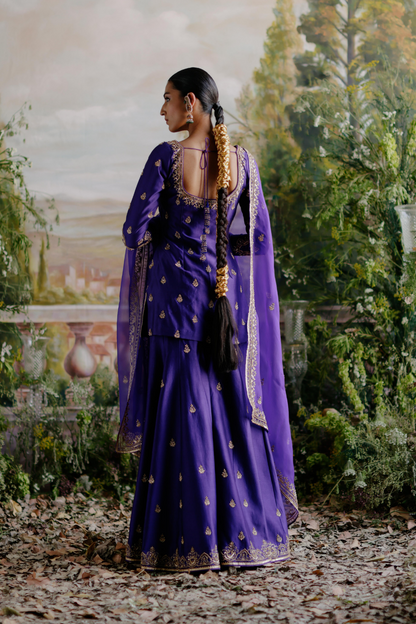 Raashii Khanna in Farzana Sharara Set