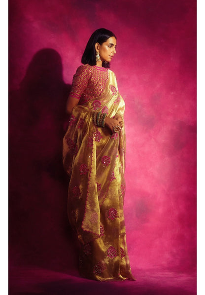 Gold Tissue Applique Saree Set