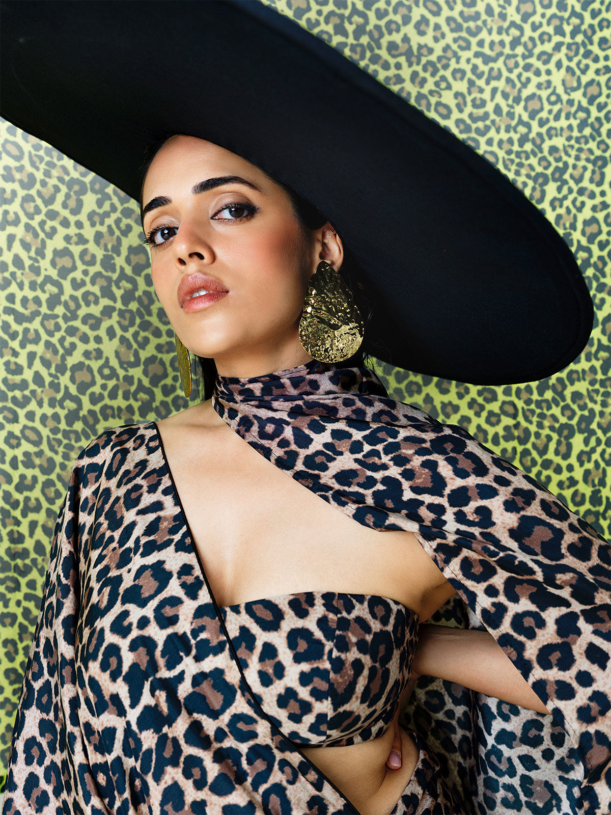 The Cheetah Print Saree