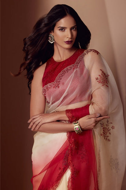 Aarna Saree Red Shaded