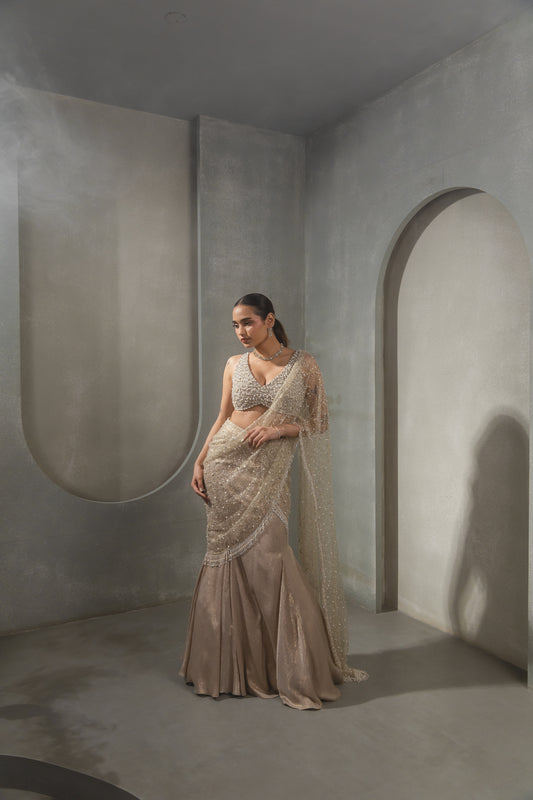 Heavy Jaal Embroidred Palla with Pearl Blouse