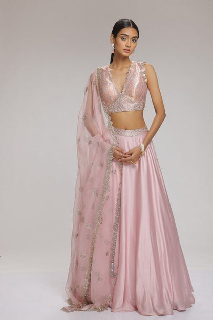 Garnet Lehenga Set Pink