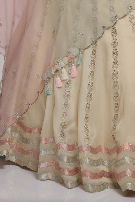 Zircon Lehenga Set Cream