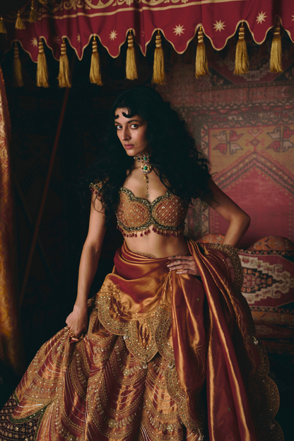 Rust Orange Pure Tissue and Maroon Velvet Lehenga Set