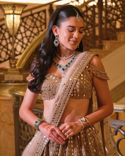 SHIVANI BAFNA In Light Beige Jugmug Mirror  Embroidered Lehenga Set