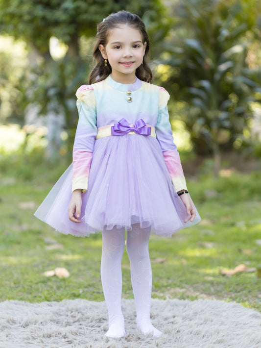 Rainbow Purple Net Dress