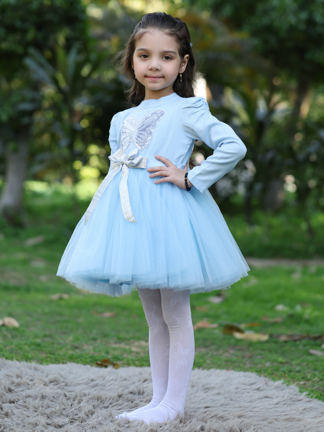Blue Butterfly Dress