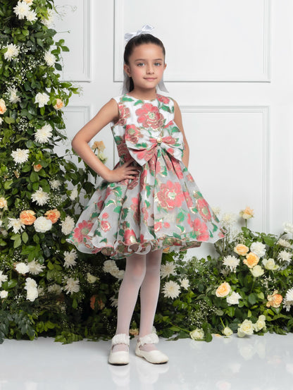 AMELIA DRESS