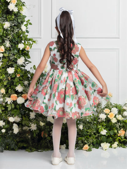 AMELIA DRESS