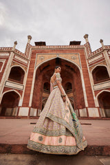 Women's Powder Pink Bandhani Banarasi Lehenga
